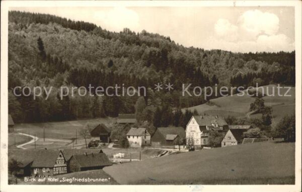 Gras-Ellenbach Hotel Pension Siegfriedsbrunnen