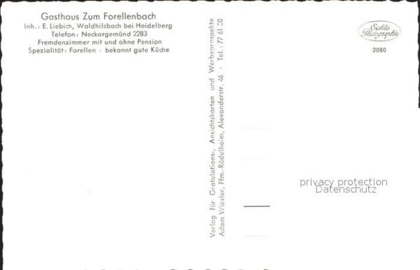 Waldhilsbach Gasthaus zum Forellenbach – Bild 2