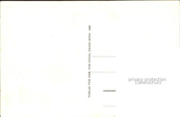 Schriesheim Strammberg – Bild 2