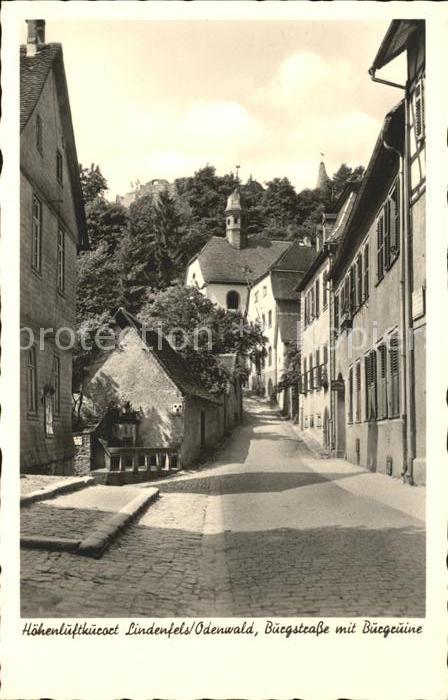 Lindenfels Odenwald Burgstrasse mit Burgruine