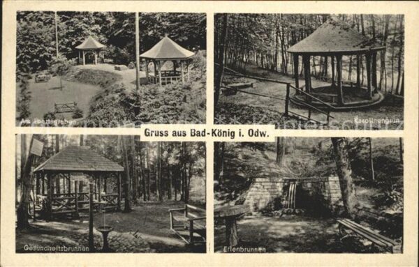 Bad Koenig Erlenbrunnen Gesundheitsbrunnen