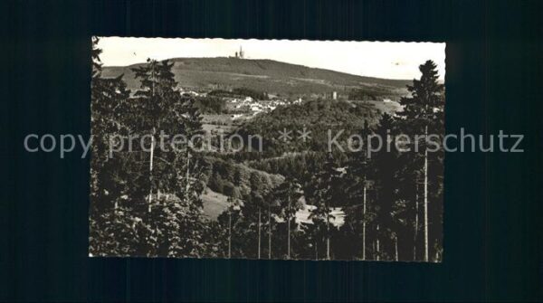 Oberreifenberg Wald