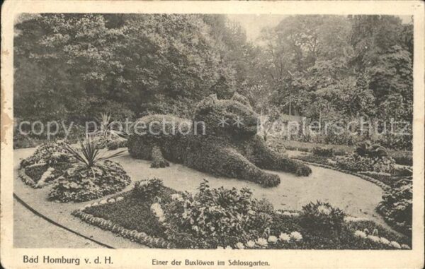 Bad Homburg Einer der Buxlöwen im Schlossgarten