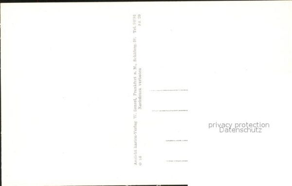 Bad Homburg Schlossinneres Geweihgalerie – Bild 2