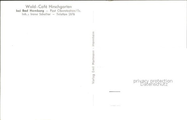 Bad Homburg Wald- Cafe Hirschgarten – Bild 2