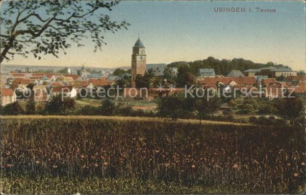 Usingen Stadtblick