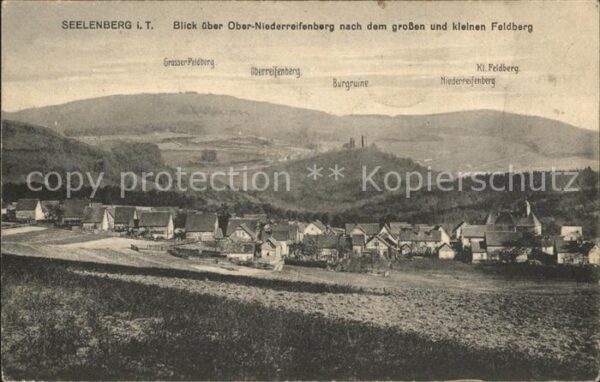 Seelenberg Ortsansicht mit Gr Feldberg Burgruine N
