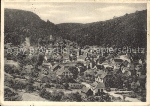 Elmstein im Pfälzerwald Totalansicht