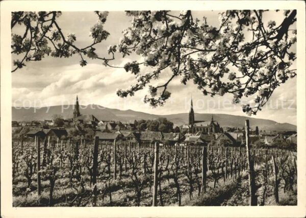 Edenkoben Panorama Kirchen