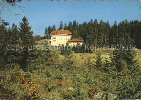 Notschrei Waldhotel am Notschrei