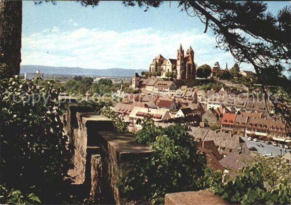 Breisach Rhein Blick vom Eckartsberg Münster