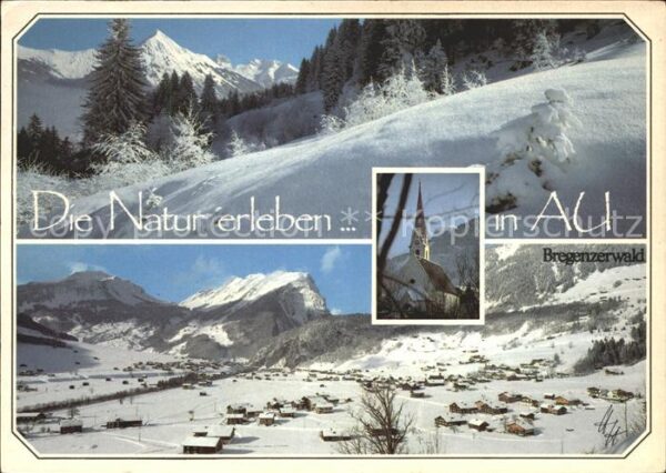 Au Bregenzerwald Winteridyll Panorama Üntschenspitze Wid