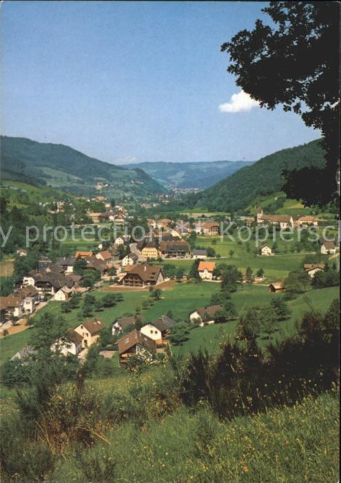 Simonswald Panorama
