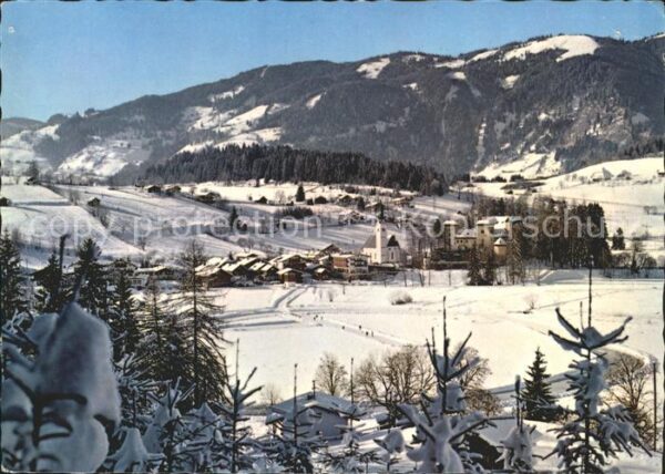 Goldegg Panorama
