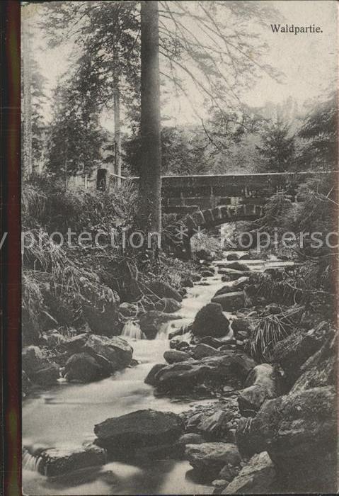 Freudenstadt Waldpartie Bachbrücke