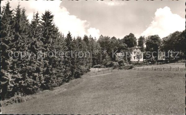 Beerfelden Odenwald Gasthaus zum Schwanen