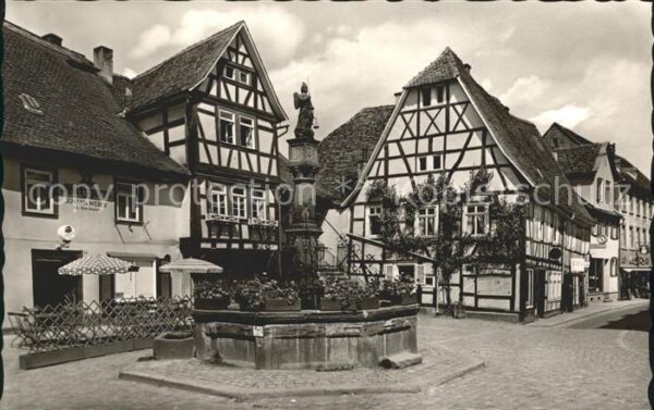 Michelstadt Marktbrunnen Fachwerkhäuser