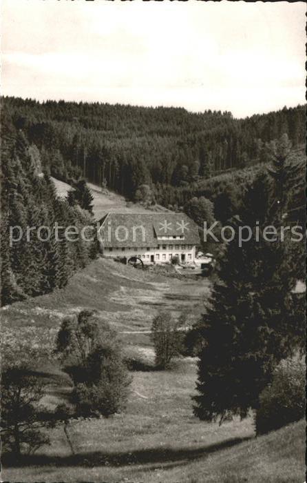 Grafenhausen Schwarzwald Hotel Pension Schlüchtmühle