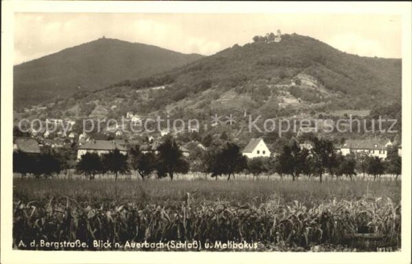 Auerbach Bergstrasse mit Schloss und Milibokus