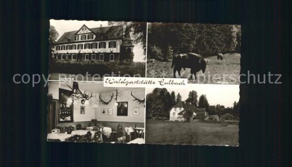 Eulbach Jagdschloss Waldgaststätte Eulbach Wies