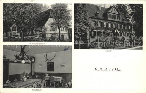 Eulbach Jagdschloss Waldgaststätte Eulbach Gast