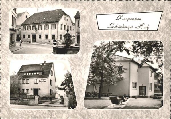 Bad Koenig Odenwald Kurpension Schönberger Hof Brunnen