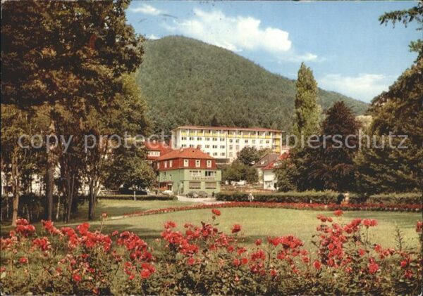 Bad Wildungen Cafe Hubertus und Sanatorium