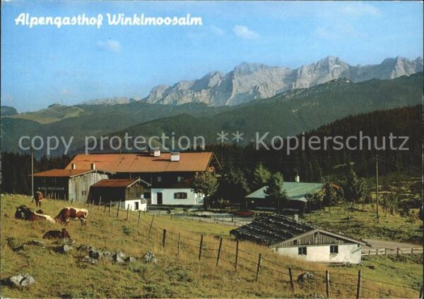 Reit Winkl Gasthaus Winklmoosalm