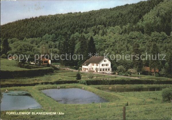 Blankenheim Ahr Restaurant Forellenhof