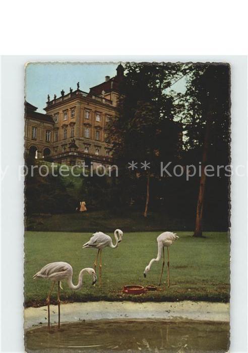 Ludwigsburg Gartenschau Blühendes Barock