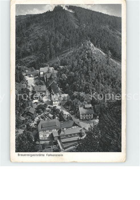 Ludwigsstadt Brauereigaststätte Falkenstein