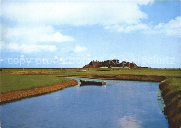 Hallig Hooge Backenswarft mit Priel