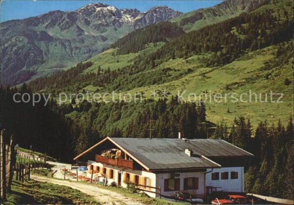 Wildschoenau Tirol Wandergebiet Schönangeralm