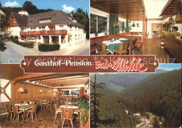 Schwarzenbach Wald Gasthof Pension Zur Mühle Gastraum Tota