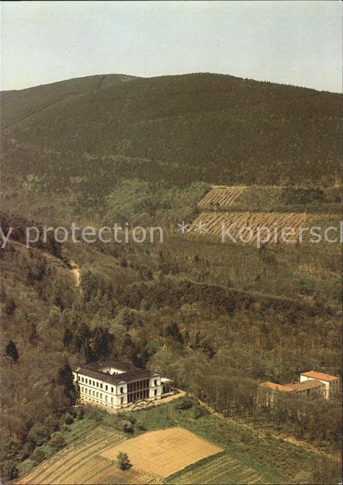 Edenkoben Schloss Villa Ludwigshöhe Fliegeraufnah