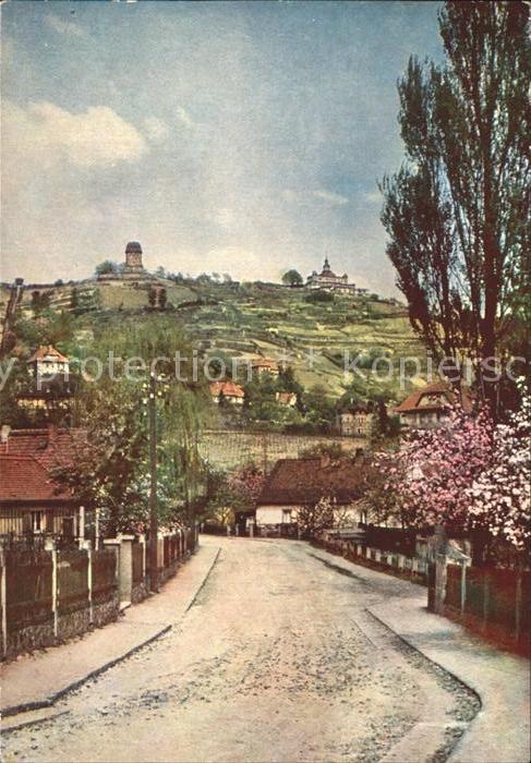 Radebeul Friedensburg und Wasserturm Blühende Lö
