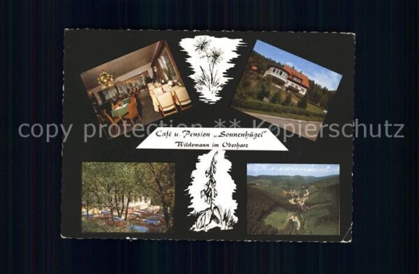 Wildemann Cafe Pension Sonnenhügel Spiegeltal Kur