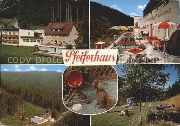 Warmensteinach Waldcafe Pfeiferhaus Terrasse Liegewies
