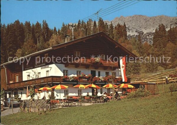 Ellmau Tirol Haflingergetränke Grubhof am Wilden Kai