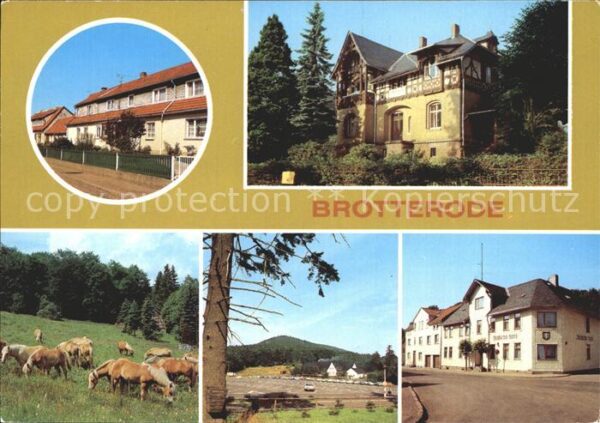 Brotterode Gaststätte Deutsches Haus Haflinger Sie