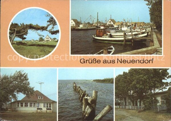 Neuendorf Hiddensee Windflüchter Hafen Strandrestaurant