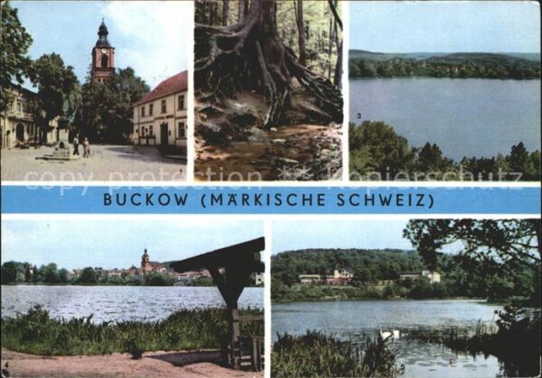 Buckow Maerkische Schweiz Markt Würzelfichte Griepensee
