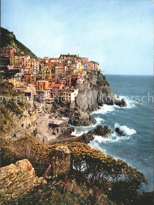 Manarola Häuser in Felsen