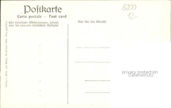 Storch Heidelberg Storchnest – Bild 2