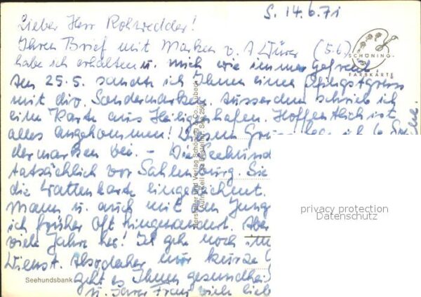 Seehunde Robben Seehundsbank – Bild 2
