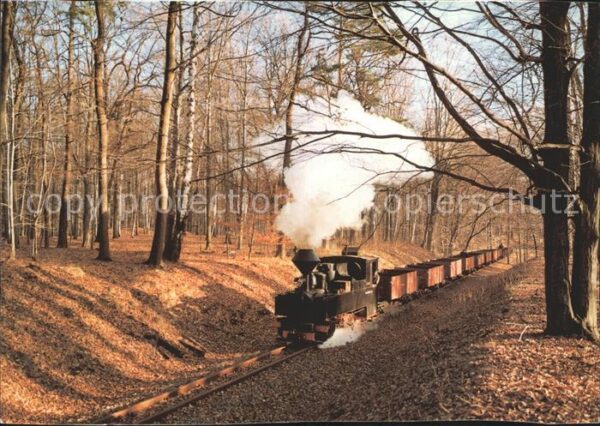 Lokomotive Waldeisenbahn Muskau