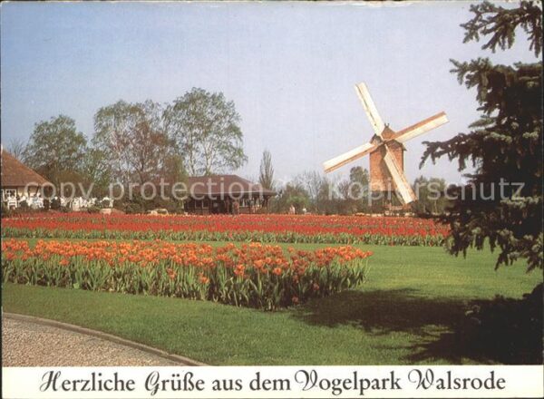 Walsrode Lueneburger Heide Volgelpark Tulpenbeet Mühle