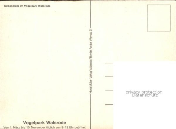 Walsrode Lueneburger Heide Volgelpark Tulpenbeet Mühle – Bild 2