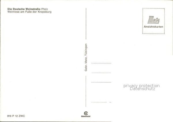 Kropsburg Weinlese – Bild 2