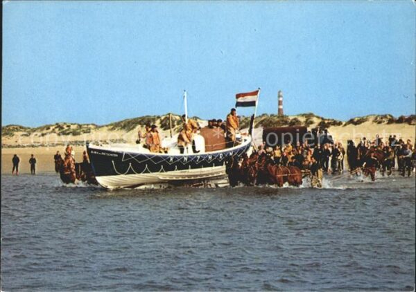 Ameland Pferde im Wasser Boot